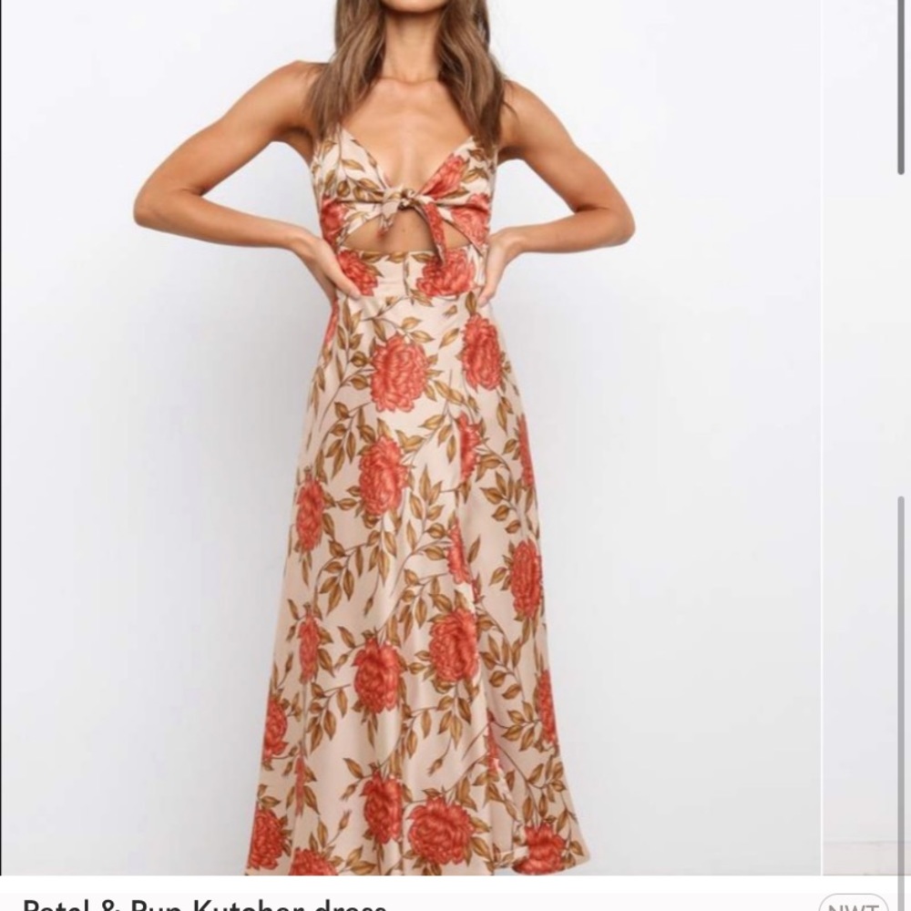 Petal & Pup Kutcher dress